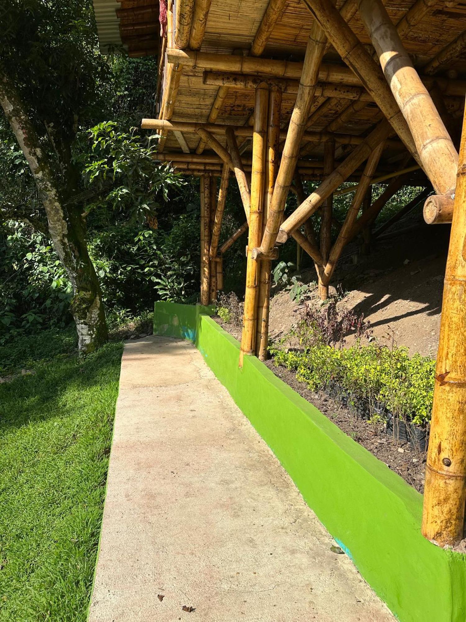 Ecohotel Monteverde Ла-Вега Экстерьер фото