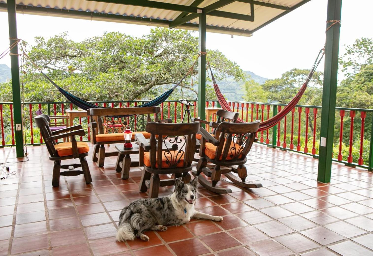 Ecohotel Monteverde Ла-Вега Экстерьер фото