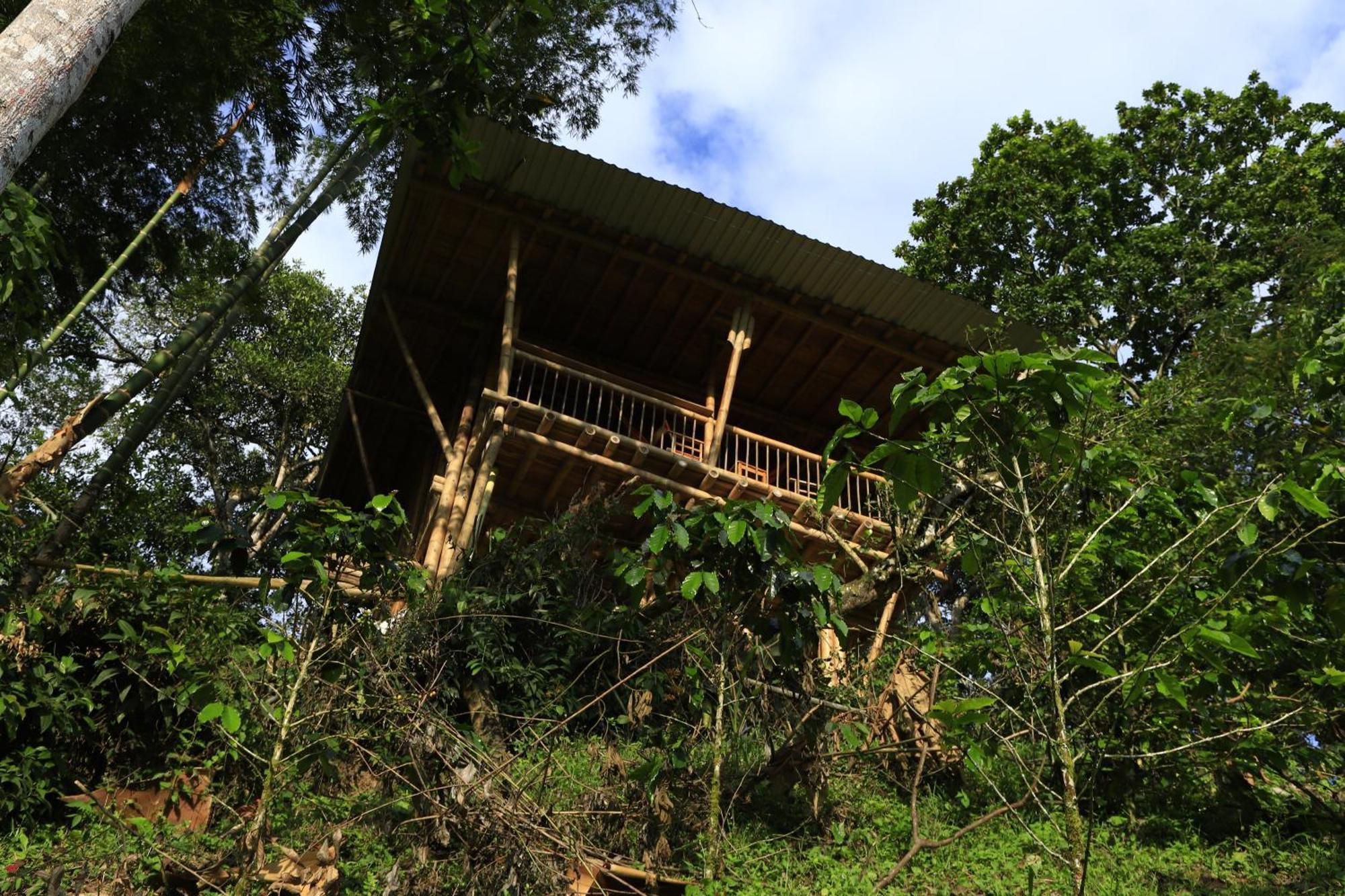 Ecohotel Monteverde Ла-Вега Экстерьер фото