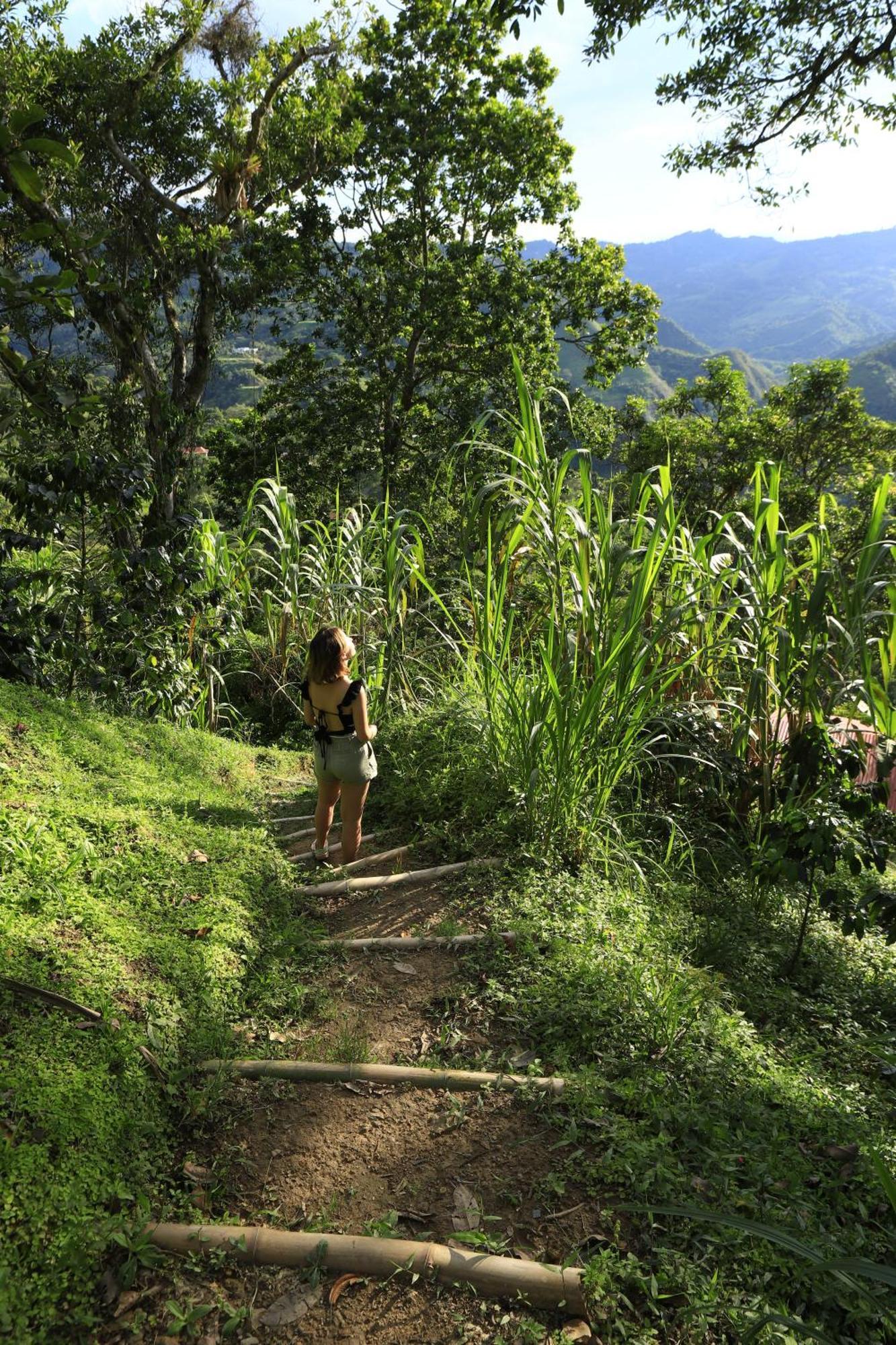 Ecohotel Monteverde Ла-Вега Экстерьер фото