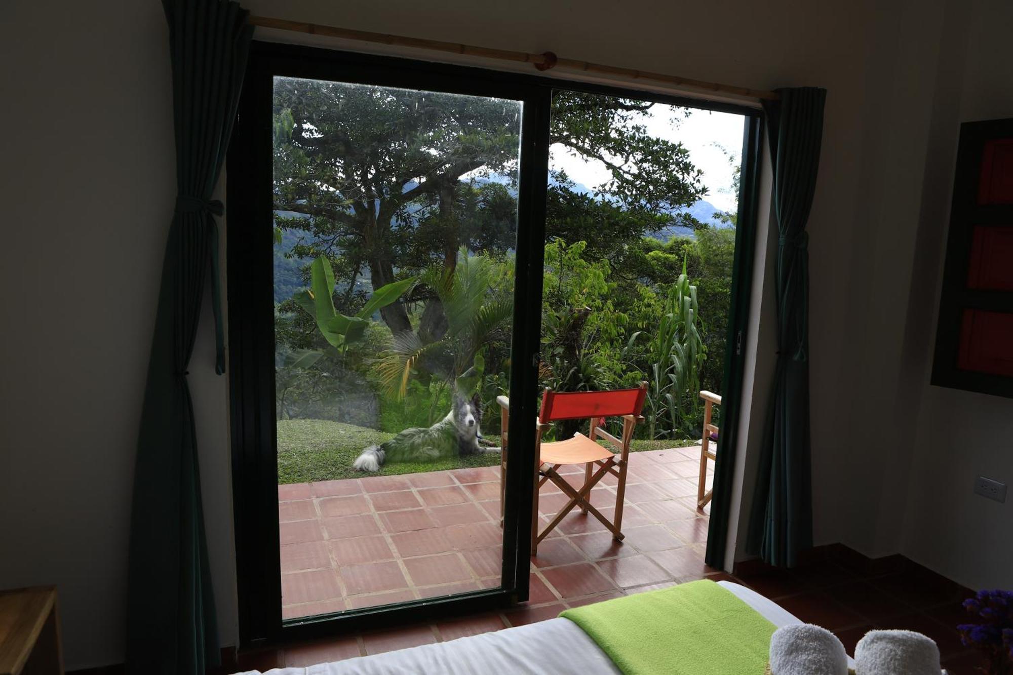 Ecohotel Monteverde Ла-Вега Экстерьер фото